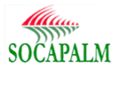 Socapalm